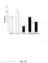 Fig. 18 - In vitro selection of aptamer beacons