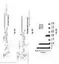 Fig. 20 - In vitro selection of aptamer beacons