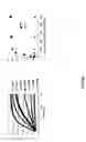 Fig. 24 - In vitro selection of aptamer beacons
