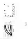 Fig. 25 - In vitro selection of aptamer beacons