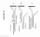 Fig. 15 - Nucleic acid analysis methods conducted in small reaction volumes