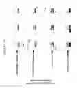 Fig. 17 - Nucleic acid analysis methods conducted in small reaction volumes