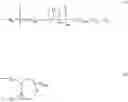 Fig. 15 - Novel peptide-conjugated oligomeric compounds