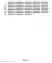 Fig. 05 - Identification of the gene causing the mouse scurfy phenotype and its human ortholog