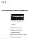 Fig. 04 - Simplified methods for isolating nucleic acids from cellular materials