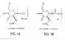 Fig. 02 - Homogeneous populations of molecules