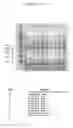 Fig. 07 - Reagents and methods useful for detecting diseases of the prostate
