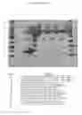 Fig. 09 - Reagents and methods useful for detecting diseases of the prostate