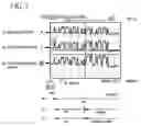 Fig. 06 - System and method for universal identification of biological samples