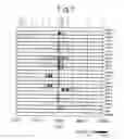 Fig. 08 - Search for cancer markers by a novel screening method