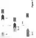 Fig. 02 - Method and kit for detecting membrane protein-protein interactions