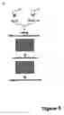 Fig. 09 - Method and kit for detecting membrane protein-protein interactions