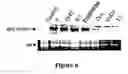 Fig. 05 - Differentially expressed genes in prostate cancer