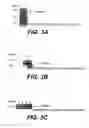 Fig. 05 - Cross-reactive monoclonal and polyclonal antibodies which recognize surface proteins from coagulase-negative staphylococci and staphylococcus aureus