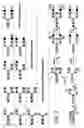 Fig. 32 - Pharmaceutical compositions of glycoconjugates