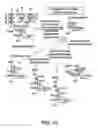 Fig. 45 - Pharmaceutical compositions of glycoconjugates