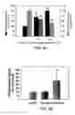 Fig. 09 - Glutamate transporter associated proteins and methods of use thereof