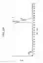Fig. 03 - Ligands for EPH-like receptors