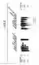 Fig. 09 - Ligands for EPH-like receptors
