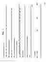 Fig. 02 - Enhanced solubility of recombinant proteins