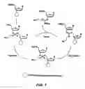 Fig. 02 - Method of synthesizing polynucleotides using ionic liquids