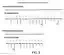 Fig. 06 - Recombinant kid pregastric esterase and methods for its production and use