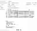 Fig. 08 - Recombinant kid pregastric esterase and methods for its production and use