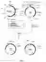 Fig. 02 - Method of purifying recombinant fused protein and method of producing protein using the same
