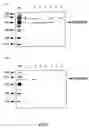 Fig. 03 - Method of purifying recombinant fused protein and method of producing protein using the same