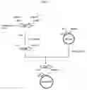 Fig. 02 - Microorganisms producing dipeptides and process for producing dipeptides using the microorganisms