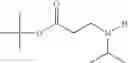 Fig. 45 - N-sulfonyldicarboximide containing tethering compounds
