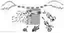 Fig. 04 - Pluripotent embryonic-like stem cells derived from teeth and uses thereof