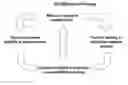 Fig. 01 - RNA interference mediated inhibition of platelet-derived endothelial cell growth factor (ECGF1) gene expression using short interfering nucleic acid (siNA)