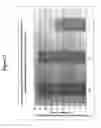 Fig. 04 - Peptides for enhanced cell attachment and growth