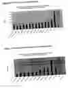 Fig. 06 - Peptides for enhanced cell attachment and growth