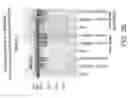 Fig. 05 - Methods of sterilizing biological mixtures using stabilizer mixtures