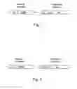 Fig. 02 - Gene transfer methods and compositions