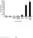 Fig. 09 - Compositions and methods utilizing stable reporter cell lines for detection of pathway-specific signal transduction