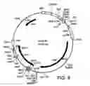 Fig. 09 - Vector system