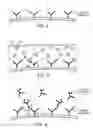 Fig. 04 - Immunoassays, assay methods, antibodies and method of creating antibodies for detecting FGF-23