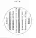 Fig. 07 - Test pattern for reliability measurement of copper interconnection line having moisture window and method for manufacturing the same