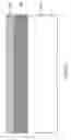 Fig. 02 - Method of manufacturing a strained silicon on a SiGe on SOI substrate