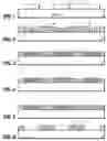 Fig. 02 - CMOS well structure and method of forming the same