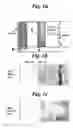 Fig. 02 - Method for suppressing transient enhanced diffusion of dopants in silicon