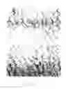 Fig. 04 - Personal care and surface cleaning article