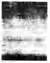 Fig. 06 - Personal care and surface cleaning article
