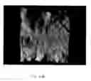 Fig. 07 - Personal care and surface cleaning article