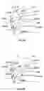 Fig. 07 - Method of determining shape data