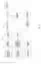 Fig. 07 - System and method for integrated player tracking and cash-access