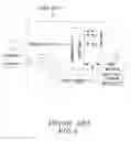 Fig. 02 - [PHOTOGRAPHIC POINTER POSITIONING SYSTEM AND ITS OPERATION PROCESS]